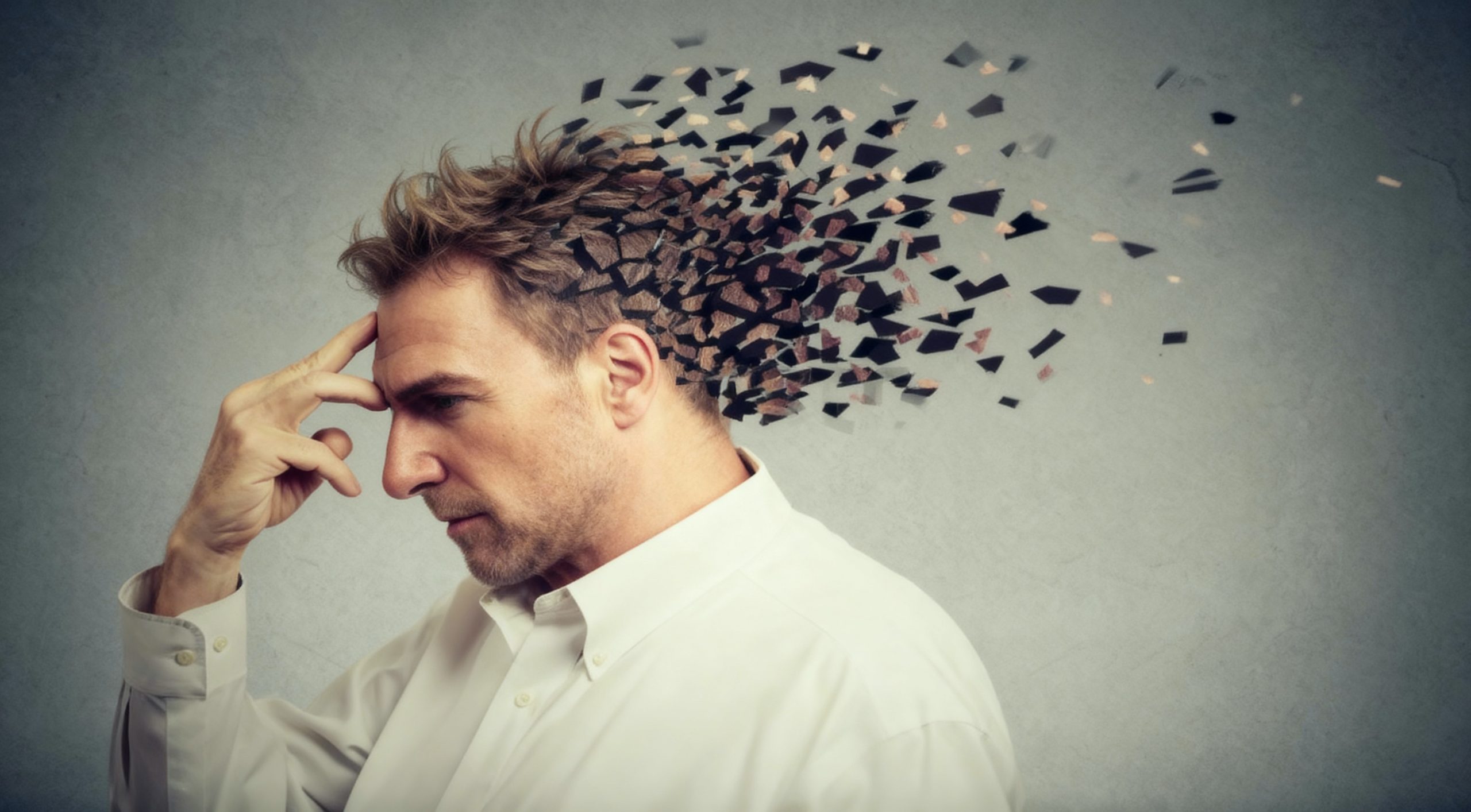 openart-image_l1vwr7Pz_1762790756459_raw copy